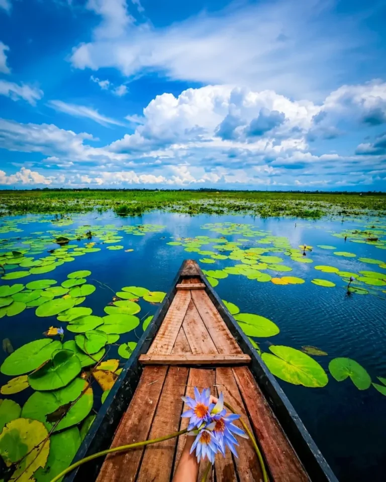 Boat Aesthetic AI Photo Editing Prompt 1