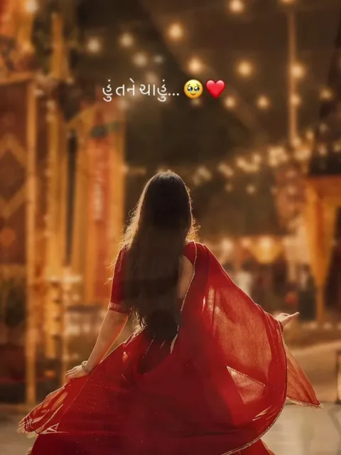 Gujarati Flashback Capcut Template